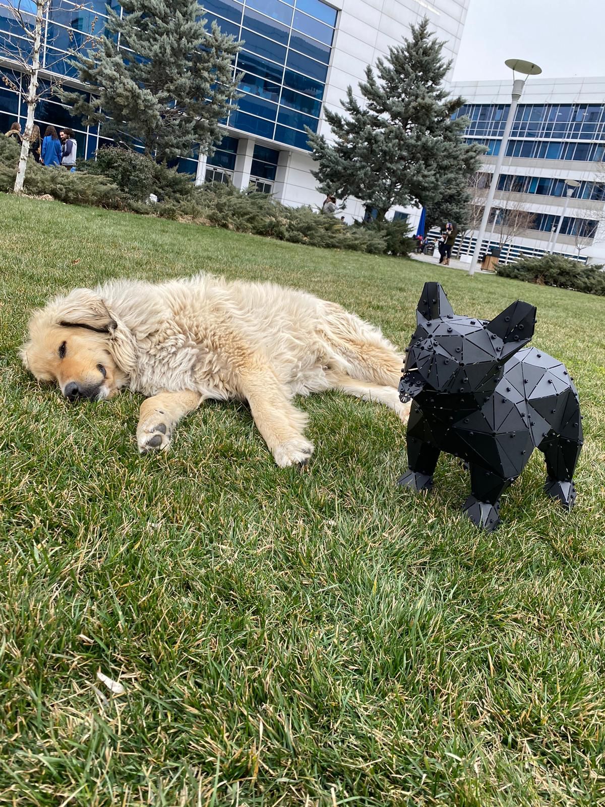 A golden retriever lying on grass next to a geometric black metal dog sculpture.