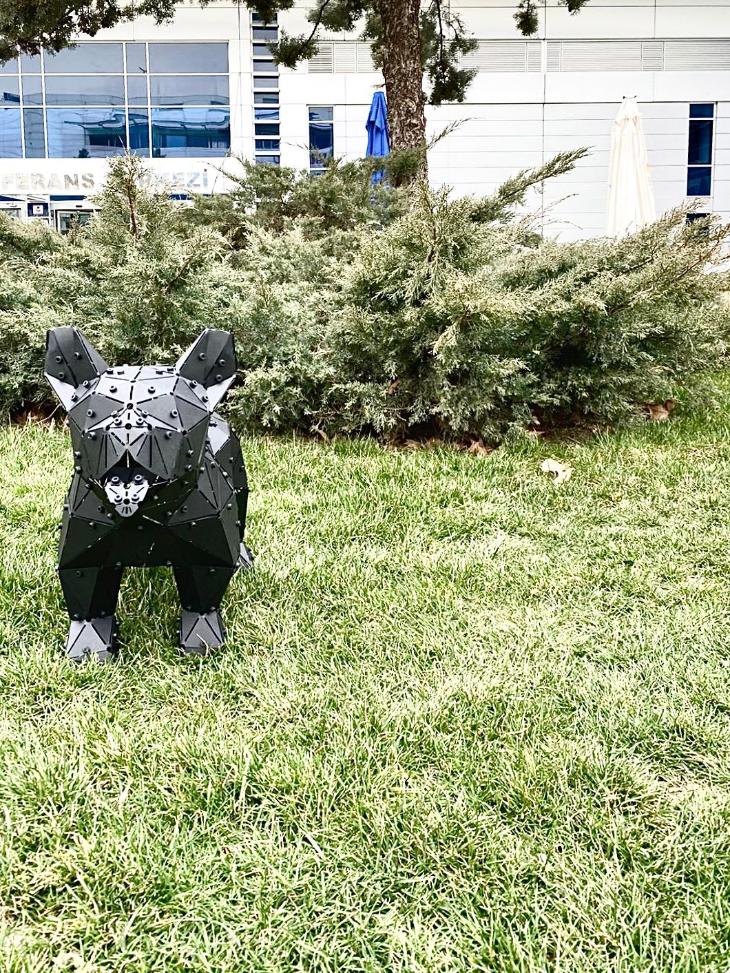 Low-poly black metal French Bulldog sculpture standing on a green lawn, front view