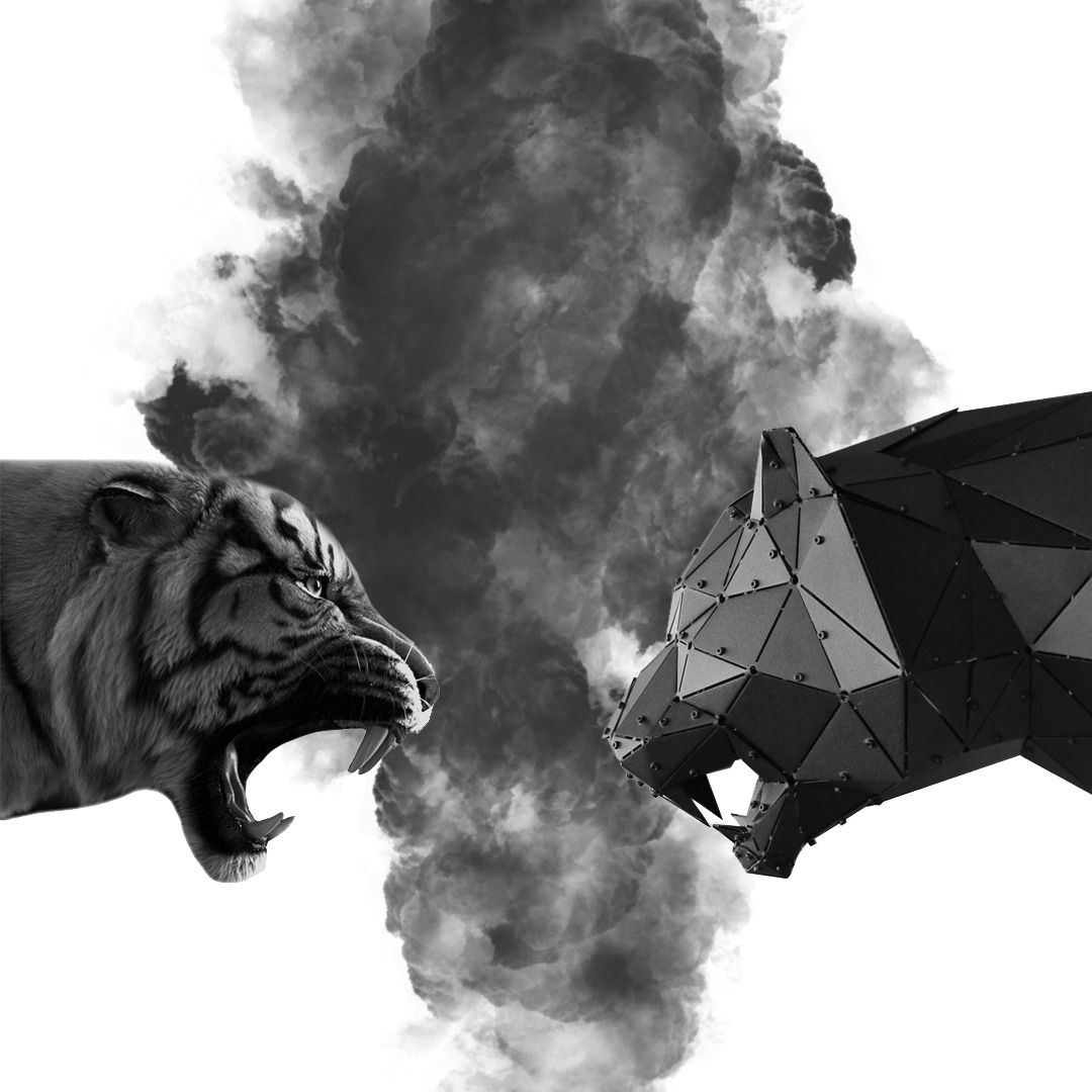 Realistic tiger facing off against a geometric low-poly metal tiger sculpture with smoke background